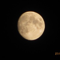 TeNLTD6yXOU Мошенничество с завещанием как доказать