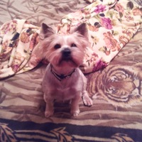 Лена Кузнецова