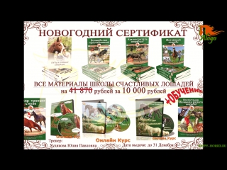 Новогодняя распродажа на все видео-тренинги и книги Школы Счастливых Лошадей