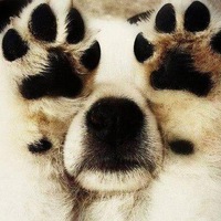 Вероника Лукьянова