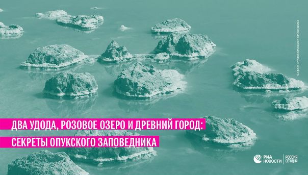 #РИА_ГодЭкологии