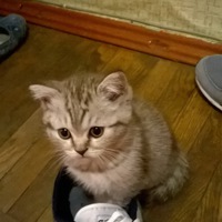Полина Федоренко | 