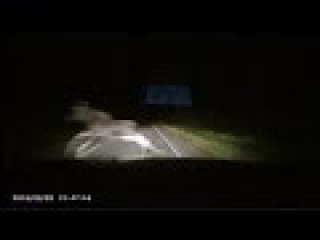 09.09.16 Лось ночью трасса Кострома Нерехта секунда до