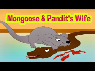 Mongoose & Pandit's Wife - Kids Story | Panchatantra Tales in English | Stories For Kids In English