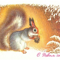 Катя Закурдаева