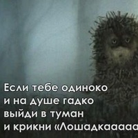 Дмитрий Каленюк