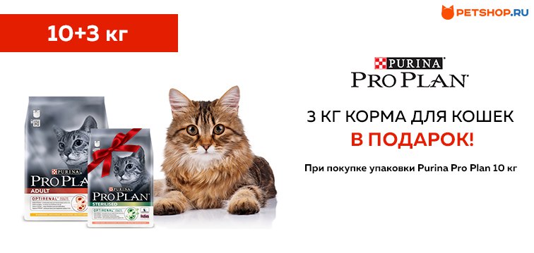 Petshop Ru Интернет Магазин Промокод