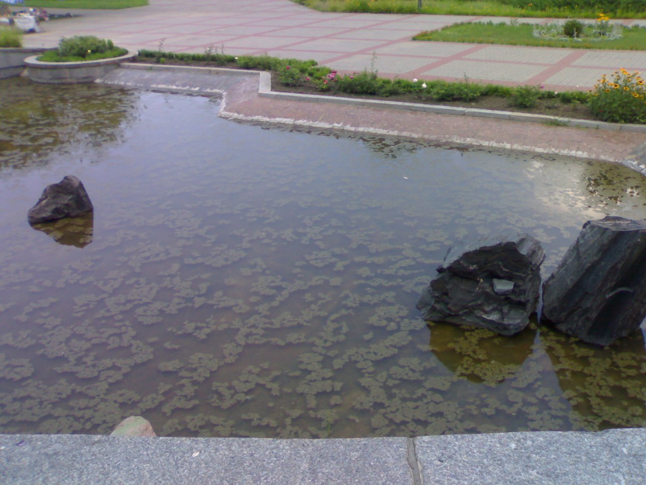 Киев - Мариуполь