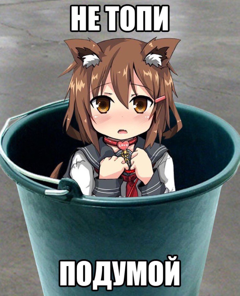 aKbondkSN80.jpg