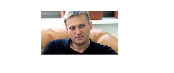 программа система ставок на спорт программа система ставок на спорт