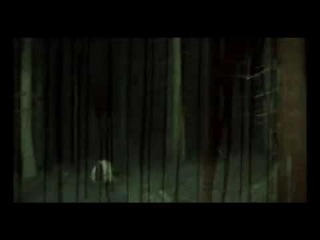 BELPHEGOR - Bluhtsturm Erotika (OFFICIAL MUSIC VIDEO)