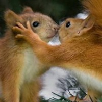 Анджелика Барилова