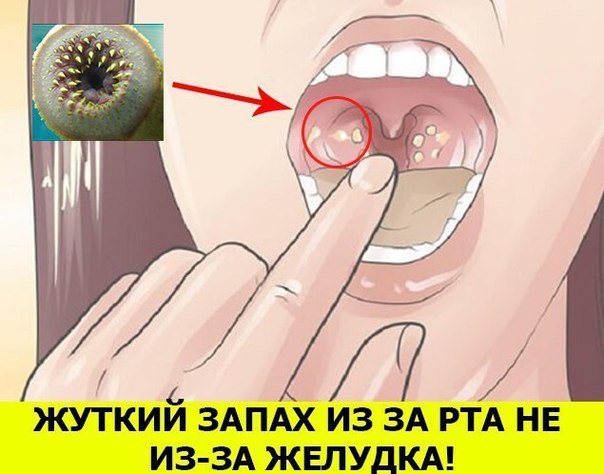 маленькие проказники сезон 2