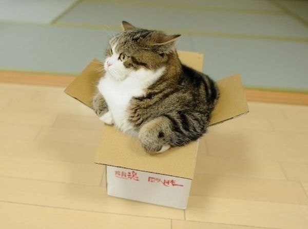 https://pp.userapi.com/c636428/v636428215/58813/26e9Yde_-io.jpg