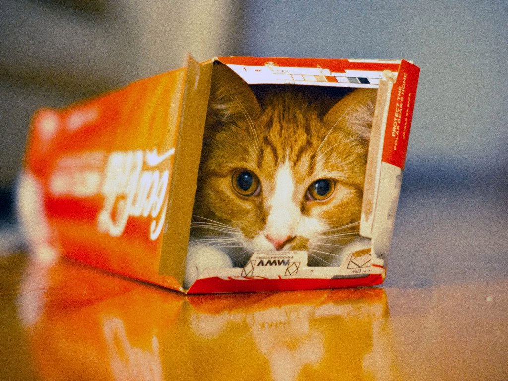 https://pp.userapi.com/c636428/v636428215/58835/jF5RnPmTYgs.jpg