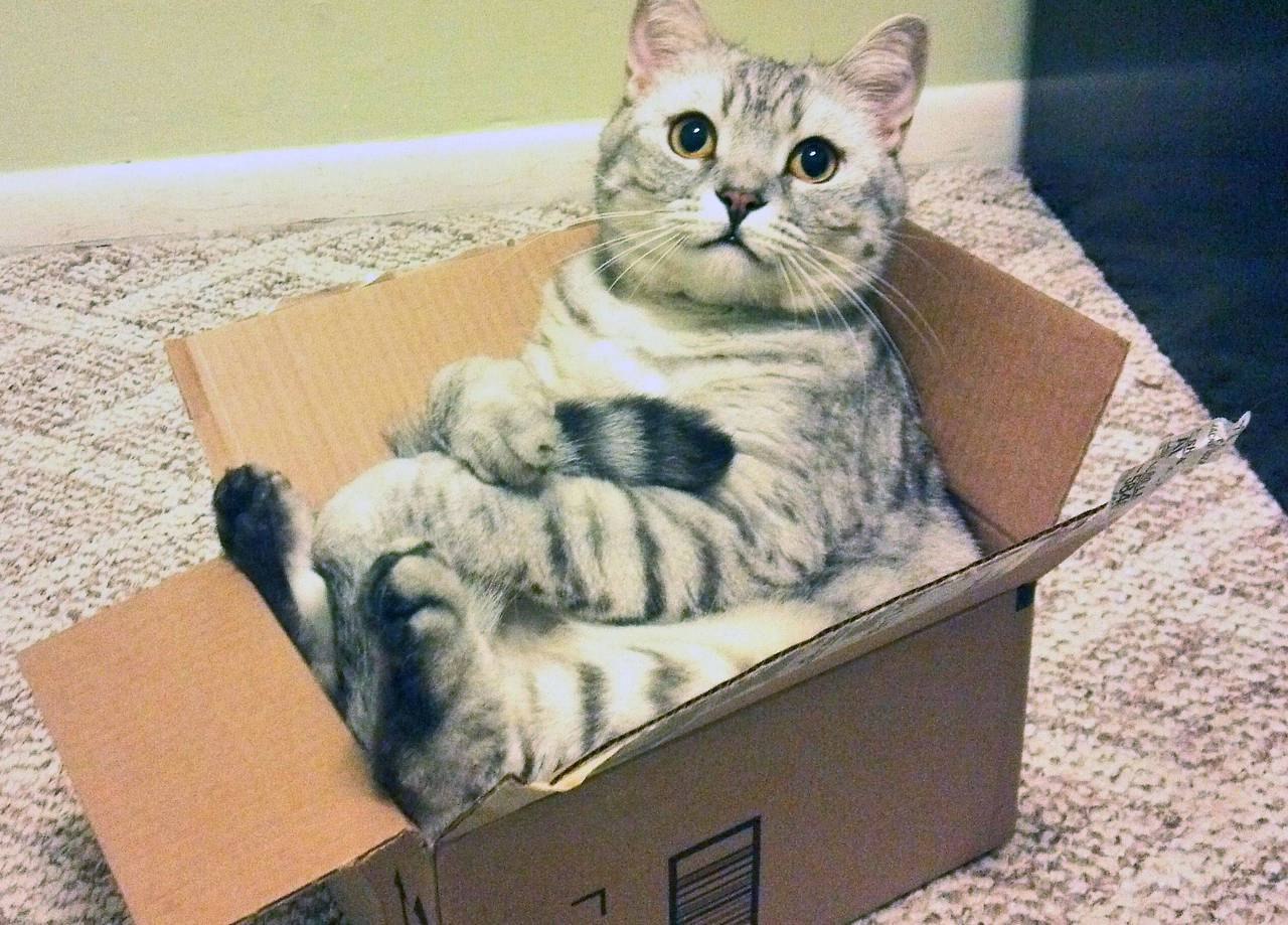 https://pp.userapi.com/c636428/v636428215/58845/0BtXRs8x3HE.jpg