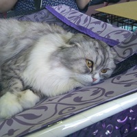 Андрей Есин