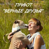 true_friendskaluga