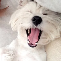 Серафима Булгакова