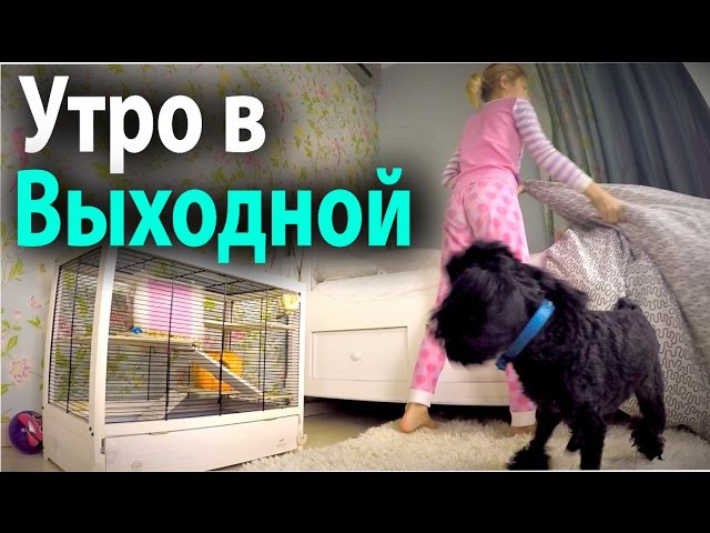 Календарь камней по луне