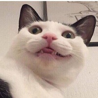 Анонимный Пользователь | Москва