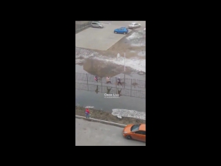 Омские дети идут в школу