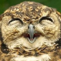 Саша Васильков | 