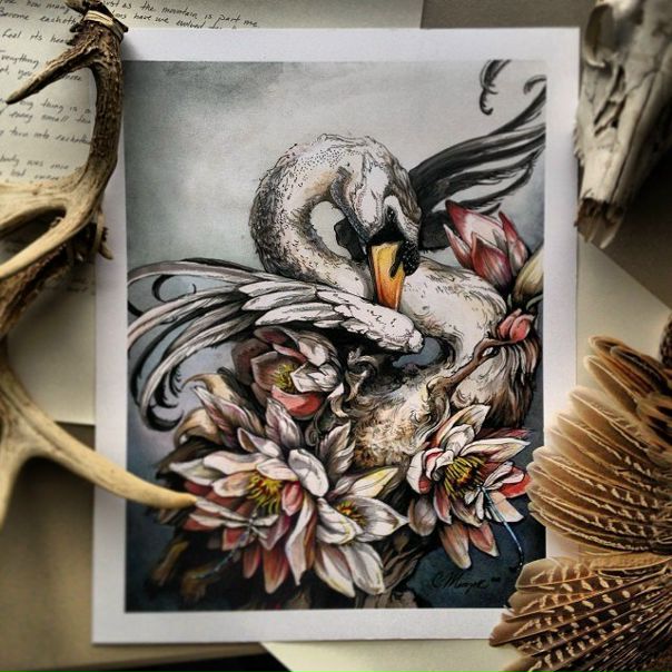 Кристины Мрозик (Christina Mrozik) художник-иллюстратор из США. Рисует с раннего детства - её всегда интересовал мир природы и царящие в нём отношения между всем живым.