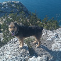 Надежда Экскурсовод