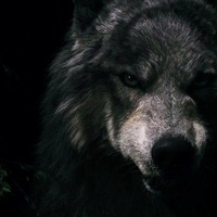 Ирина Конвас