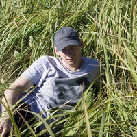 Андрей Бакулин