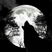 Максим Мордуков