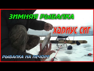 ЗИМНЯЯ РЫБАЛКА / ХАРИУС СИГ / РЫБАЛКА НА ПЕЧОРЕ / WINTER FISHING / GRAYLING, WHITEFISH