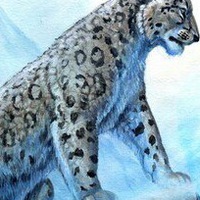 Катя Окунёва | 