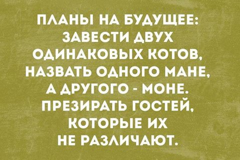 8 сообществ, на которые стоит подписаться: 