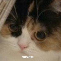 3Zae9Mn_gBA.jpg