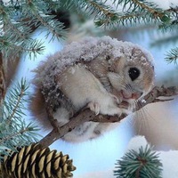 Юлия Коваль