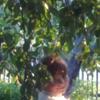 Мария Журкина | 