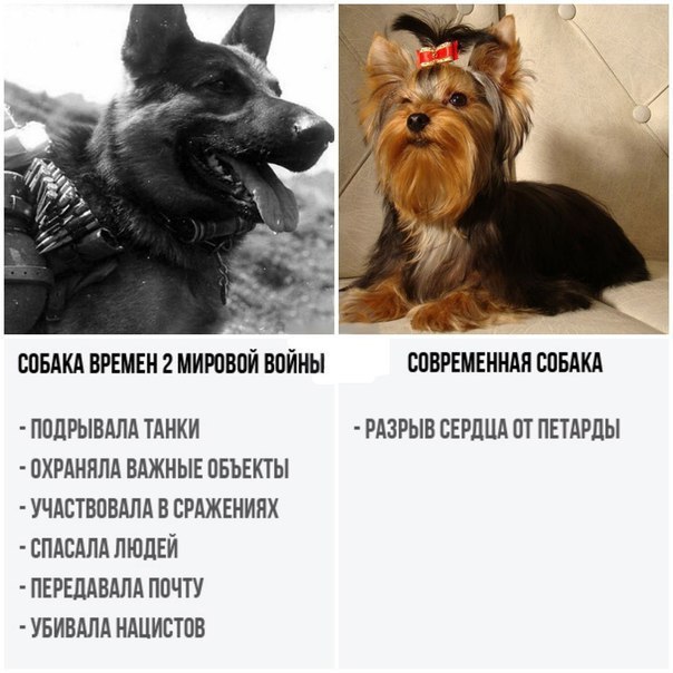 https://pp.userapi.com/c636624/v636624927/56221/VaPqaljofU8.jpg