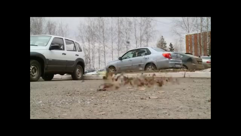 Порно Вечеринки. Смотреть порно ролики онлайн бесплатно