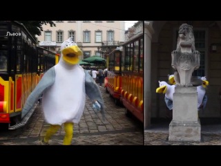 Львов нашествие Чаек из Затоки!