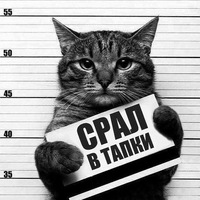 Виталий Богаченко | 