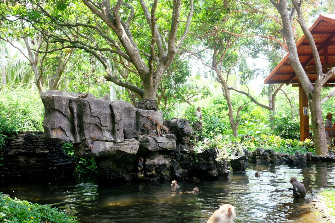 Гуанчжоу-Санья май 2016, Санья декабрь 2017