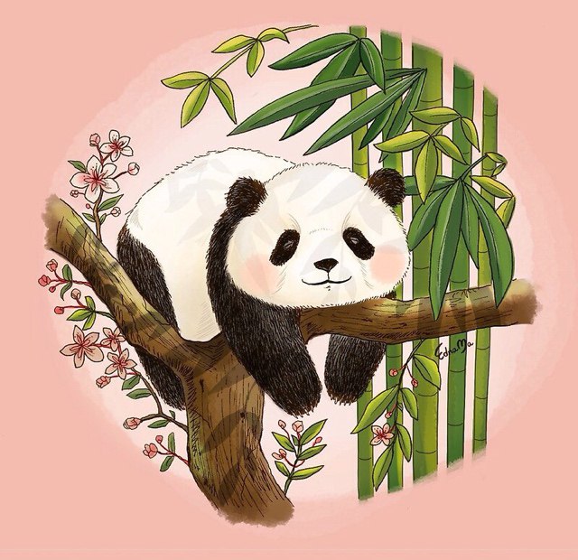 Рисунок панды карандашом с бамбуком