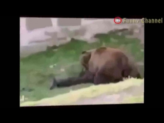 Домашнее порно, жмж, мжм, сперма, минет, анал, секс, эротика, home porn, cum порно ебал ебут чулков нд русское жопы скрытое трах