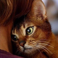 Мария Минеева  Юрьевна