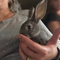 Марина Блинова | Санкт-Петербург