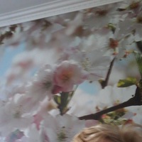 Александра Родина | 