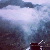 Анастасия Лаврова