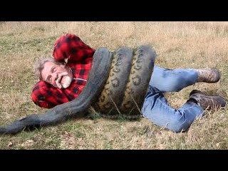Giant Anaconda vs Man | Anaconda Attack Real Man | Anaconda Attack Amazing Video